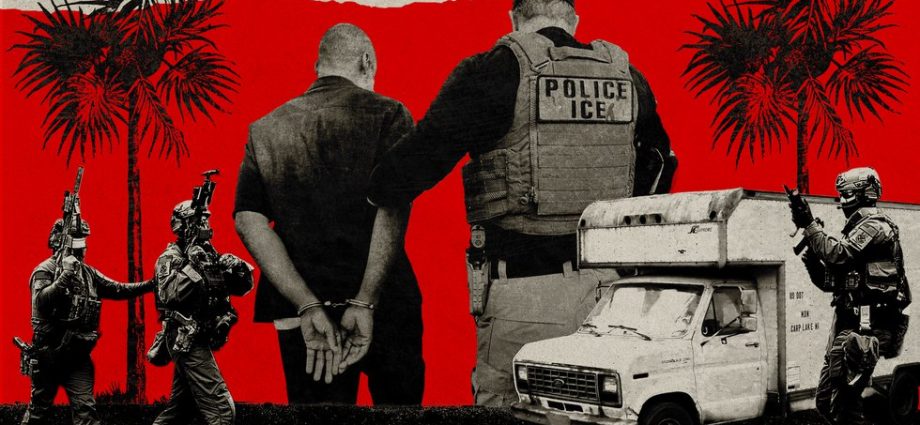 ​​in-florida,-an-out-of-state-id-can-lead-to-deportation