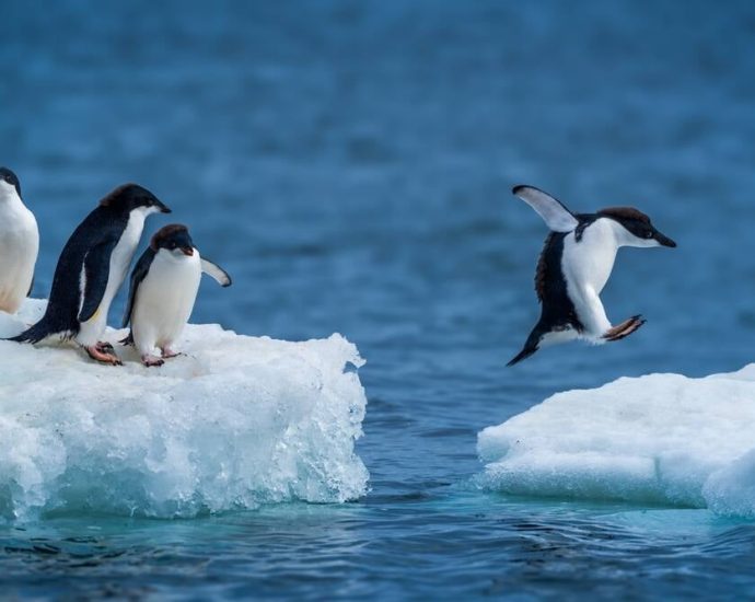 introducing-ntfsplus-–-because-just-one-ntfs-driver-for-linux-is-never-enough