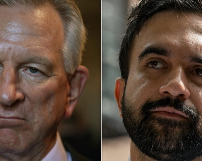 gop-senator-melts-down-over-mamdani-and-muslims-‘trying-to-take-over’-the-country