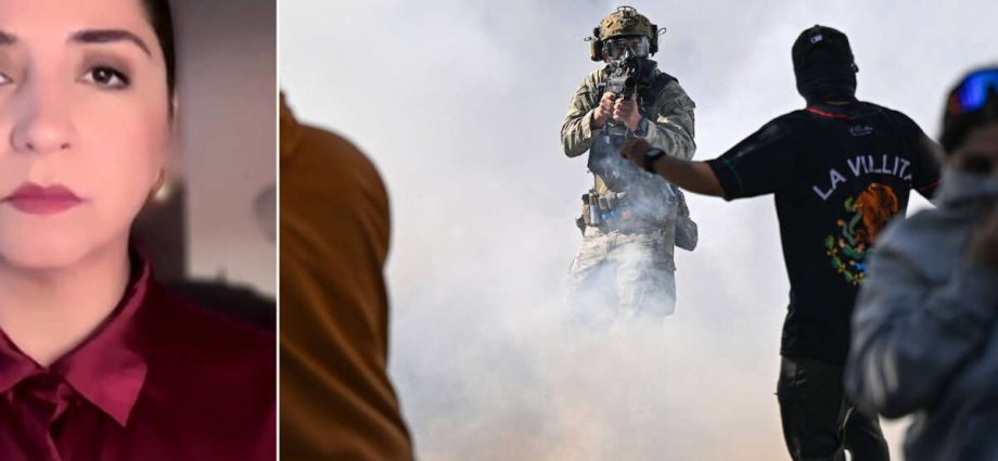 Illinois Congressmember: “We Are Under Attack by Our Own Federal Government”