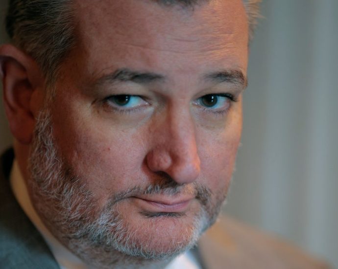 ted-cruz-tells-gop-not-to-pooh-pooh-‘no-kings’-protests