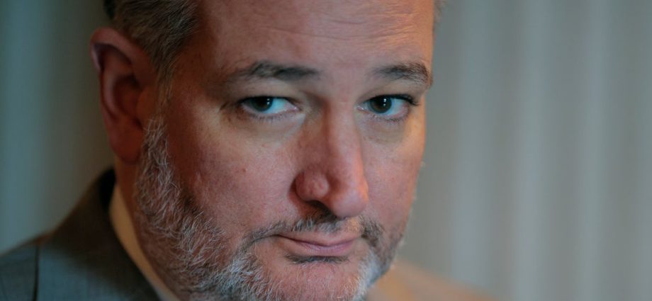 ted-cruz-tells-gop-not-to-pooh-pooh-‘no-kings’-protests