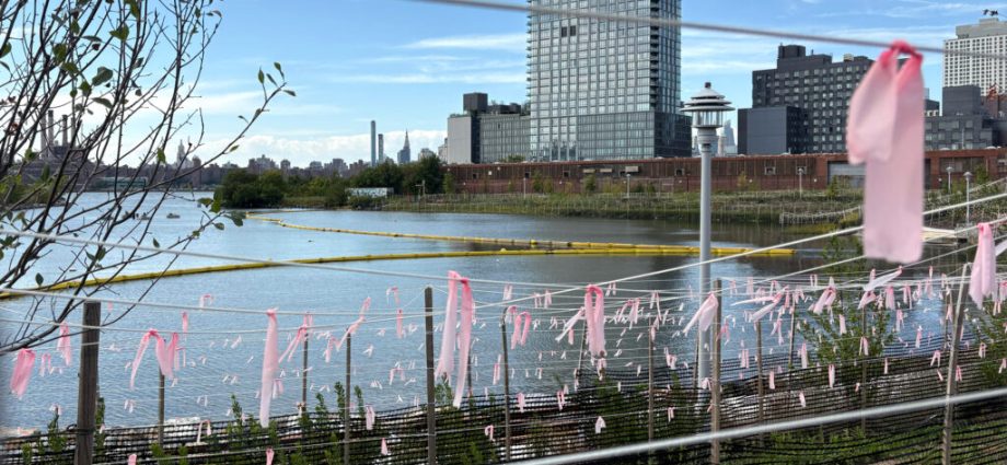 new-york-city-needs-more-housing.-should-it-come-with-promises-to-protect-green-space?