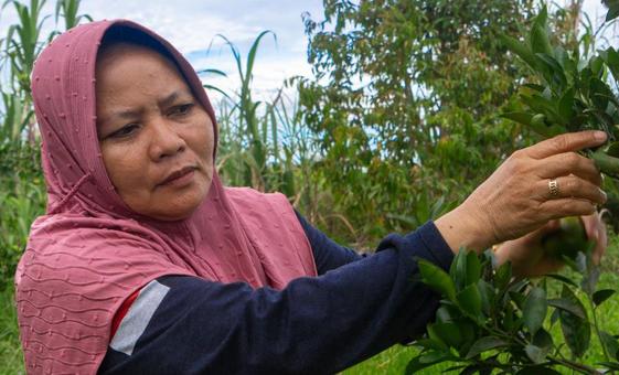 local-leadership-powers-indonesia’s-climate-ambitions