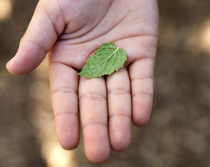 the-farm-to-school-model-is-under-threat