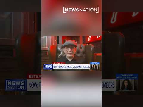 ‘we’d-kill-them’:-ex-mobster-on-potential-punishment-for-mafia-gambling-flip