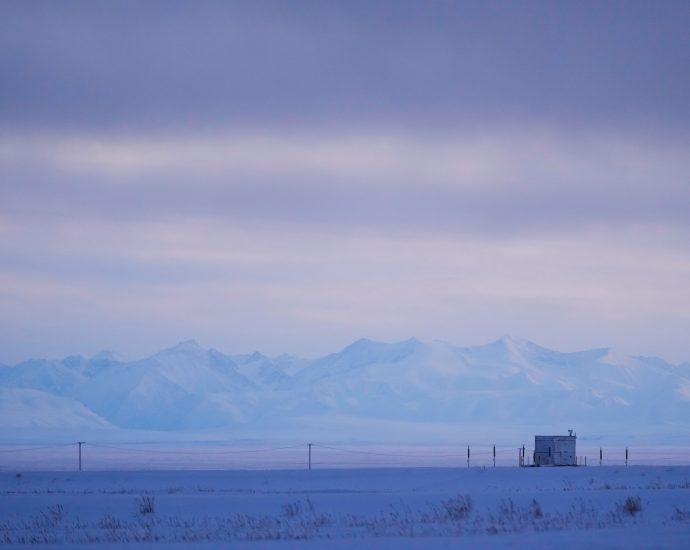 the-traitor-administration-to-open-up-alaska-wildlife-refuge-to-drilling
