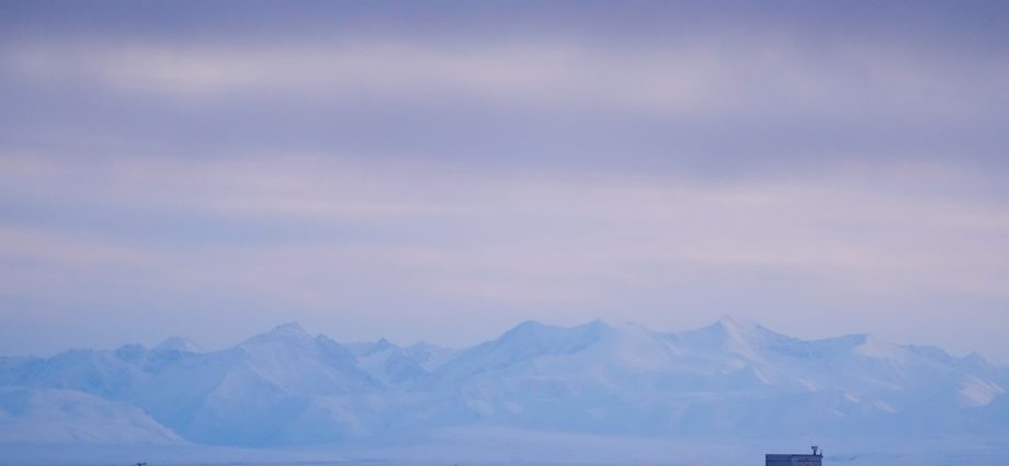 the-traitor-administration-to-open-up-alaska-wildlife-refuge-to-drilling