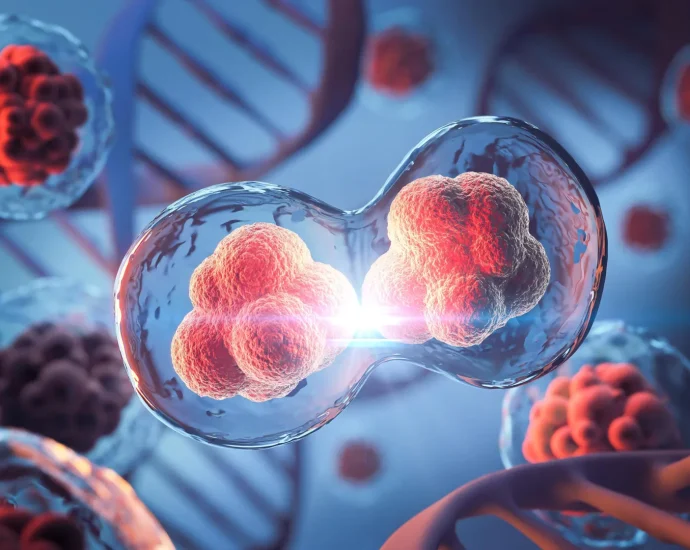 mit-scientists-discover-hidden-3d-genome-loops-that-survive-cell-division