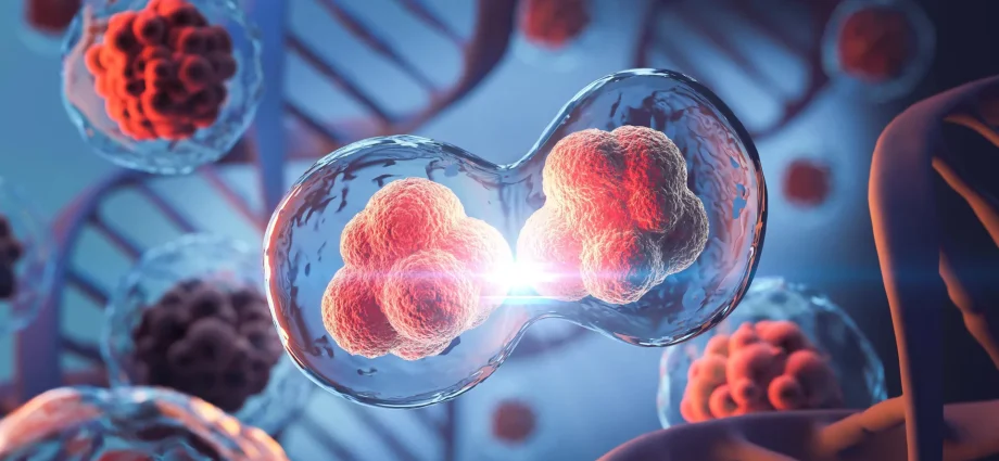 mit-scientists-discover-hidden-3d-genome-loops-that-survive-cell-division