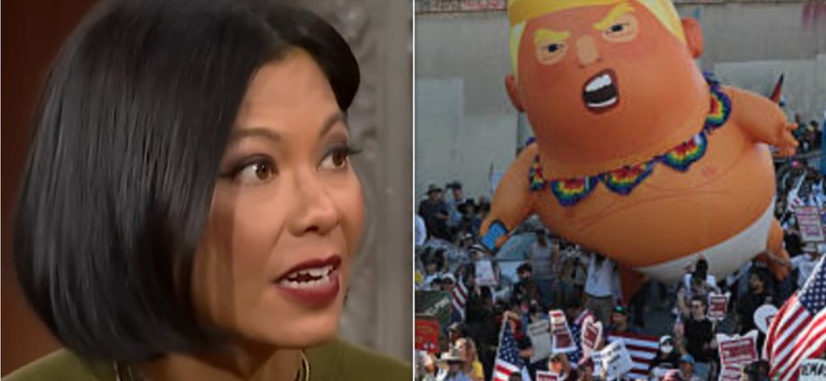 discouraged-anti-the-traitor-activists-need-to-hear-this-advice-from-msnbc-analyst