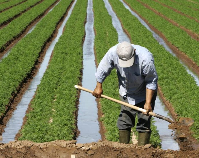 why-southern-california’s-farming-regions-are-becoming-deadly-hotspots-for-farmworkers
