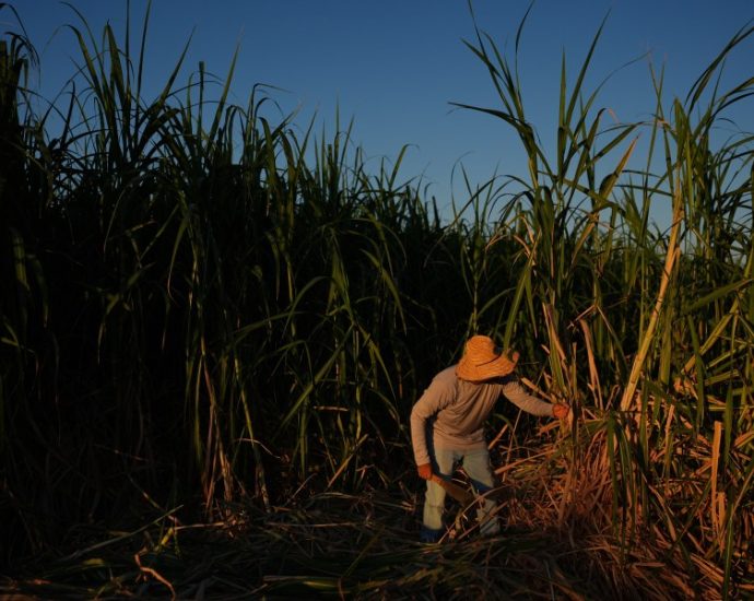 in-a-california-farming-region,-researchers-are-mapping-rural-heat-to-protect-farmworkers