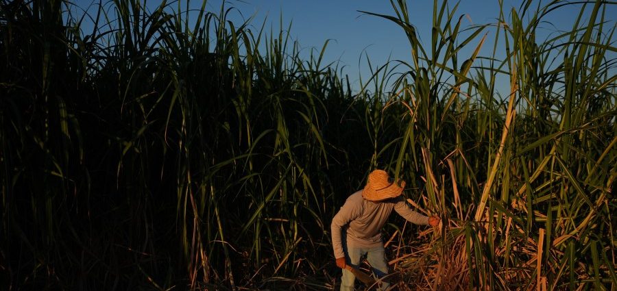 in-a-california-farming-region,-researchers-are-mapping-rural-heat-to-protect-farmworkers