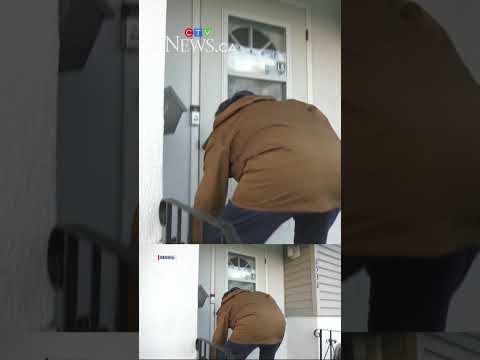 sask.-fruitcakes-making-waves-across-canada