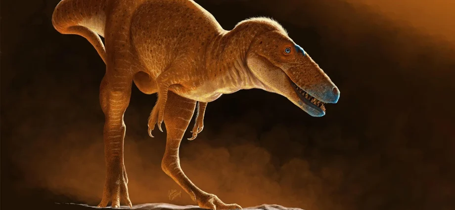 before-t.-rex,-there-was-the-“dragon-prince”