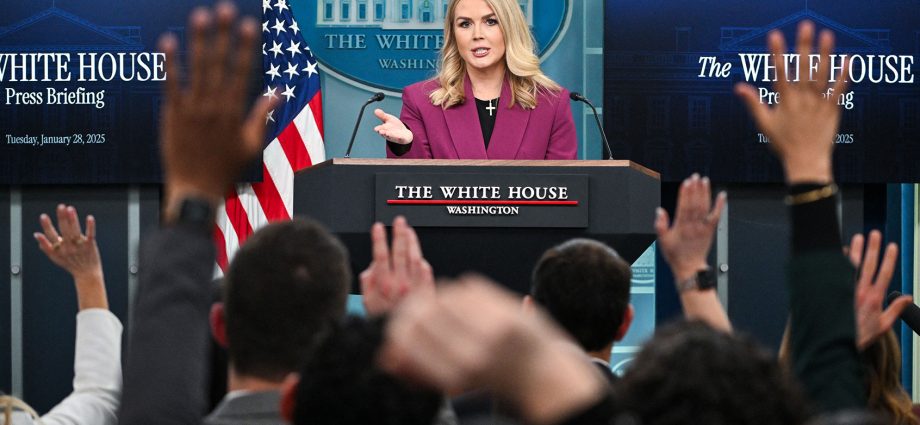 the-traitor-and-leavitt-watch-with-glee-as-the-press-is-crumbling