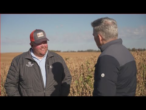 farmers-grow-weary-as-tariff-fight-lingers-|-cuomo