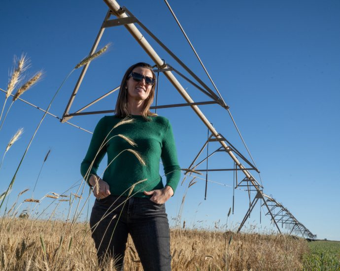 america’s-rye-whiskey-resurgence-could-help-the-climate,-but-not-by-itself