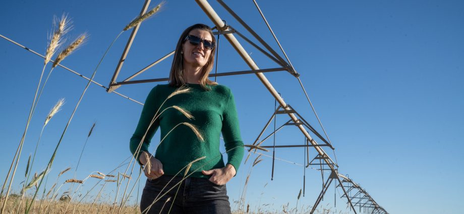 america’s-rye-whiskey-resurgence-could-help-the-climate,-but-not-by-itself