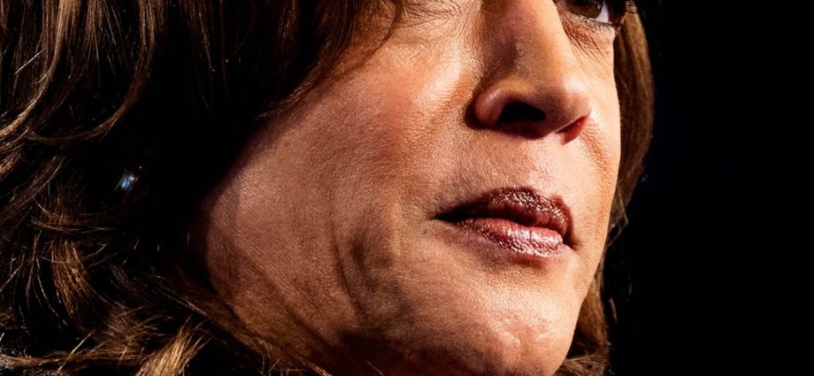 ‘i’m-not-done-yet’:-harris-talks-her-political-future