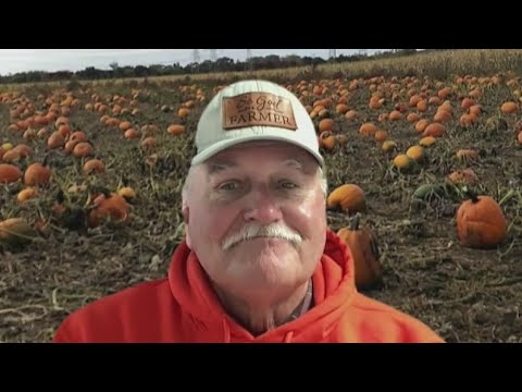 ‘good-weather,-good-soil’-behind-pumpkin-production-explosion-in-illinois:-farmer-|-newsnation-now