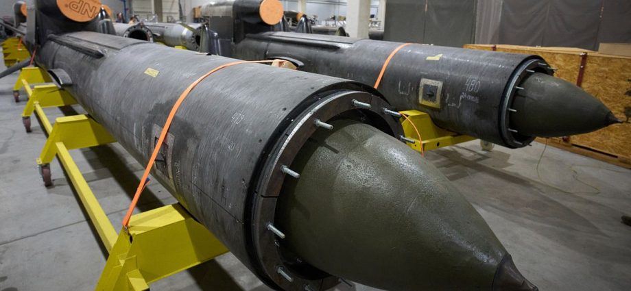 a-czech-initiative-raises-over-e500,000-in-48-hours-to-fund-a-flamingo-missile-to-ukaine