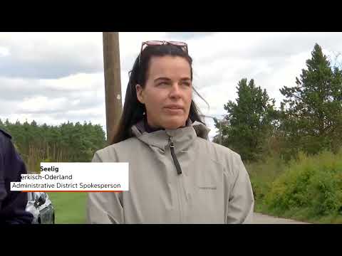 german-farms-set-to-cull-130,000-ducks-and-chickens-|-reuters