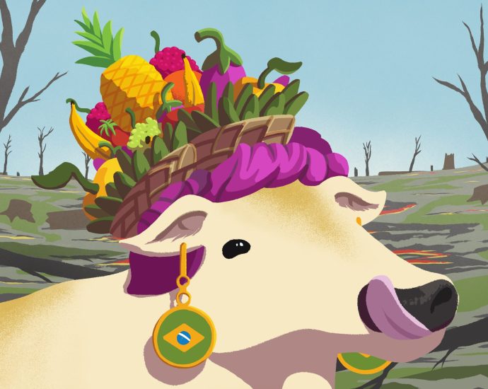 look-out-for-these-8-big-ag-greenwashing-terms-at-cop30