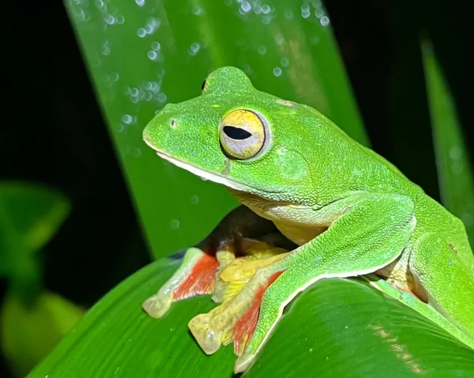 scientists-just-found-a-surprising-twist-in-earth’s-extinction-story