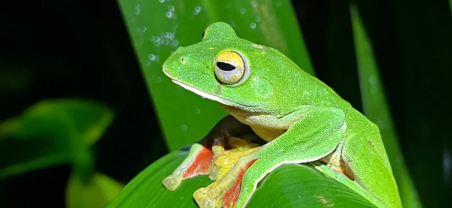 scientists-just-found-a-surprising-twist-in-earth’s-extinction-story