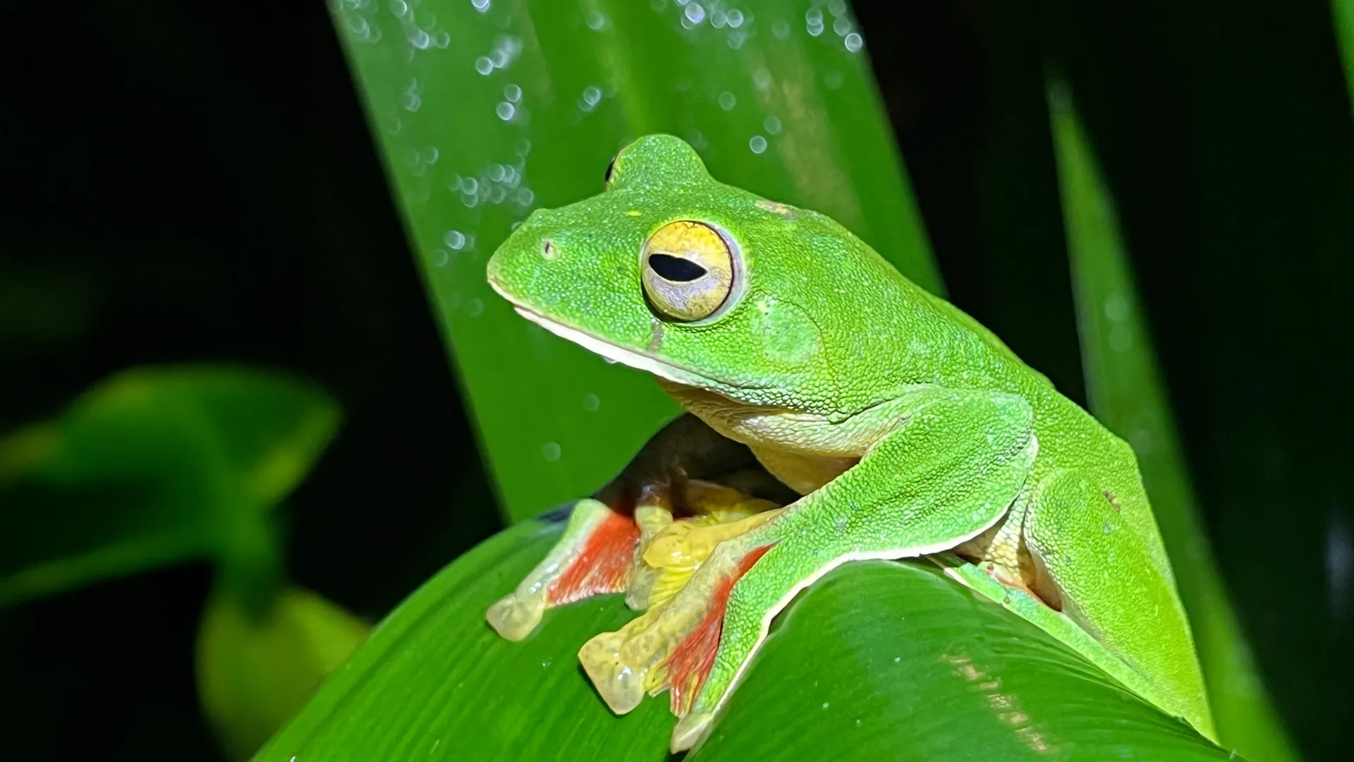 scientists-just-found-a-surprising-twist-in-earth’s-extinction-story