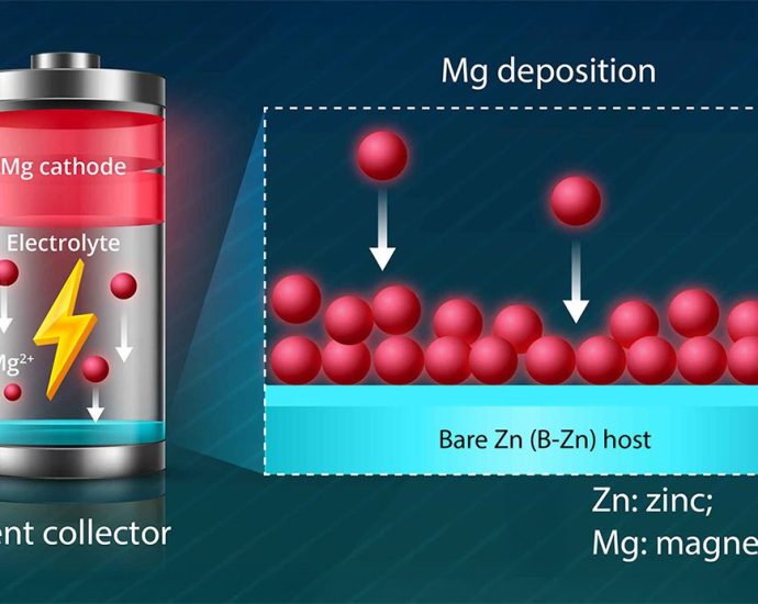 novel-metal-plating-strategy-improves-stability-in-anode-free-metal-batteries