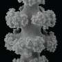 Discovery of how a coral stiffens its skeleton on demand opens new directions for bio-inspired engineering