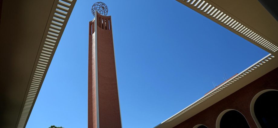 international-student-arrivals-take-a-dive-under-the-traitor