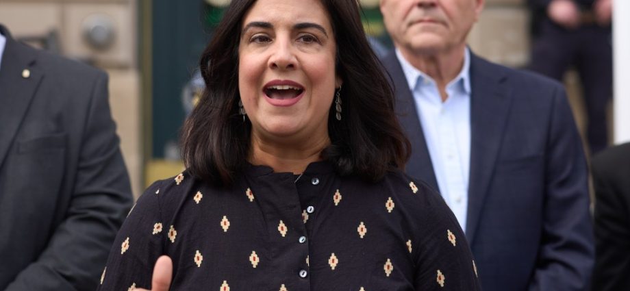 Lawsuit argues New York’s GOP-held 11th Congressional District should be redrawn –‘dilutes Black, Latino voting’