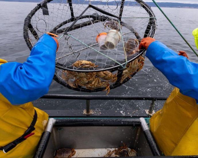 why-holiday-crab-tradition-in-california-faces-another-disrupted-season