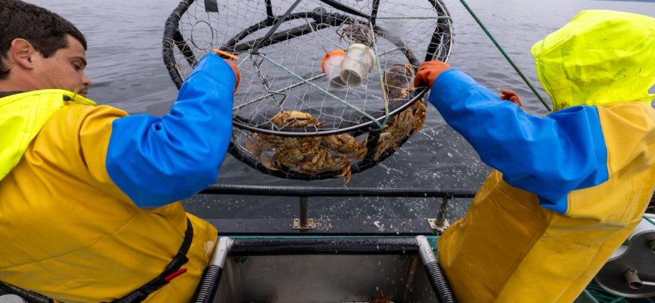 why-holiday-crab-tradition-in-california-faces-another-disrupted-season