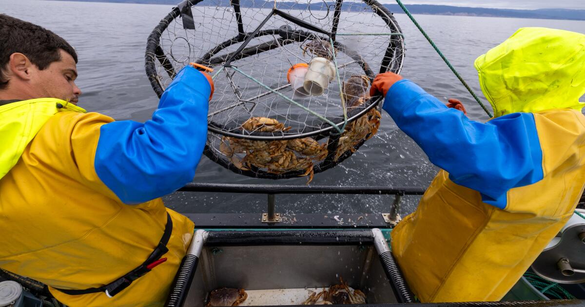 why-holiday-crab-tradition-in-california-faces-another-disrupted-season