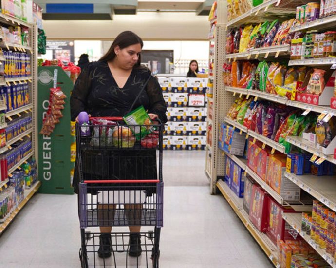 25-states-file-lawsuit-against-the-traitor-administration-over-snap-funding