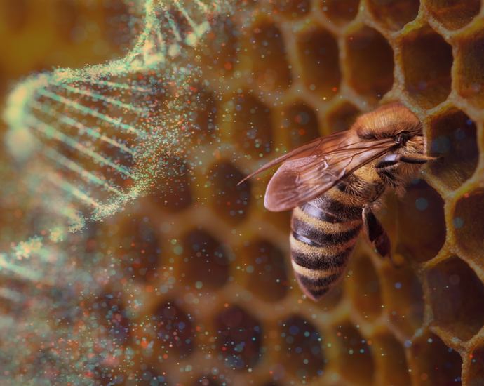 conservationists-endorse-the-age-of-synthetic-biology