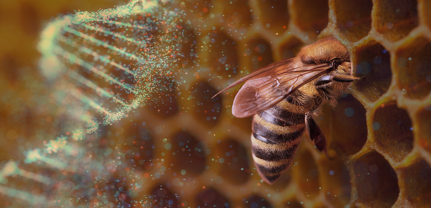 conservationists-endorse-the-age-of-synthetic-biology