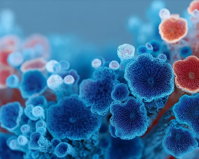 before-plants-or-animals,-fungi-conquered-earth’s-surface