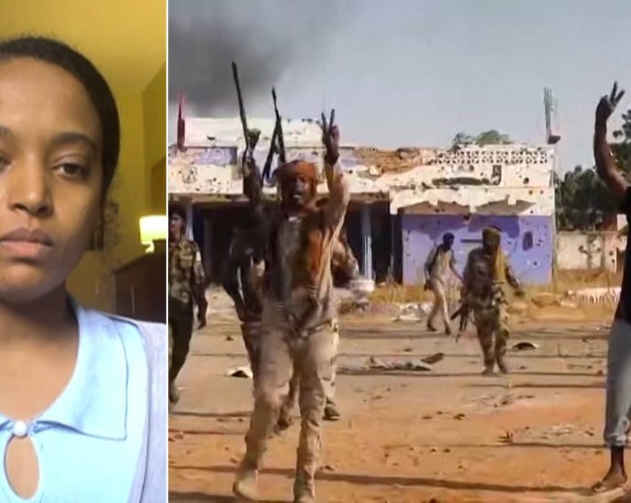 calls-grow-for-humanitarian-ceasefire-in-sudan-as-rsf-forces-seize-key-city-of-el-fasher-in-darfur