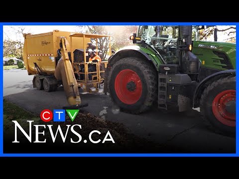 ‘leaf’-ing-it-all-at-the-curb