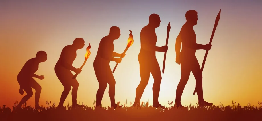 humans-evolved-faster-than-any-other-ape