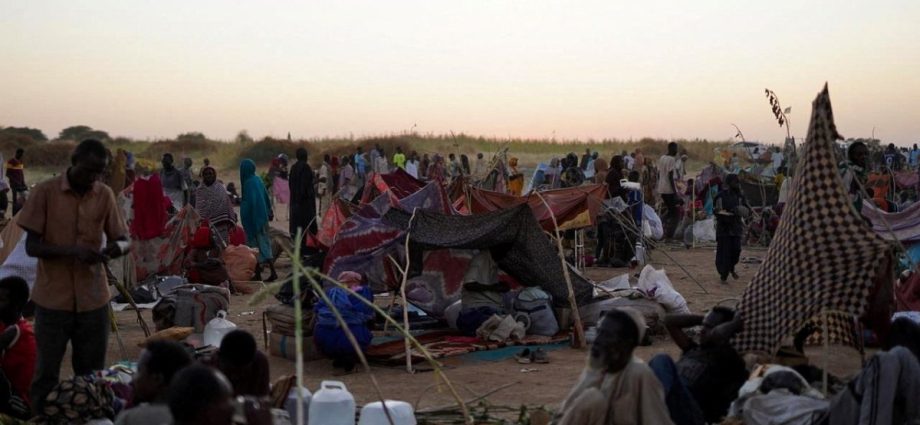 survivors-fleeing-sudan’s-el-fasher-recount-terror,-bodies-in-streets