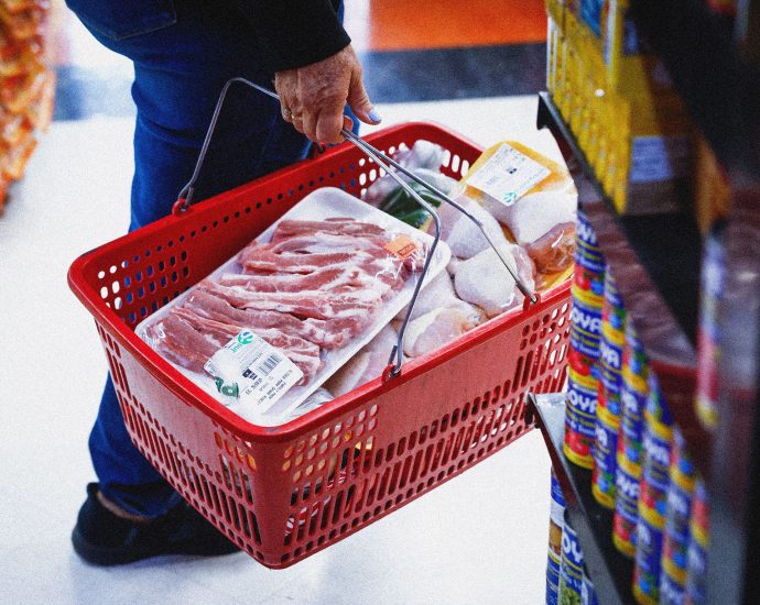 no,-snap-benefits-aren’t-mostly-used-by-immigrants