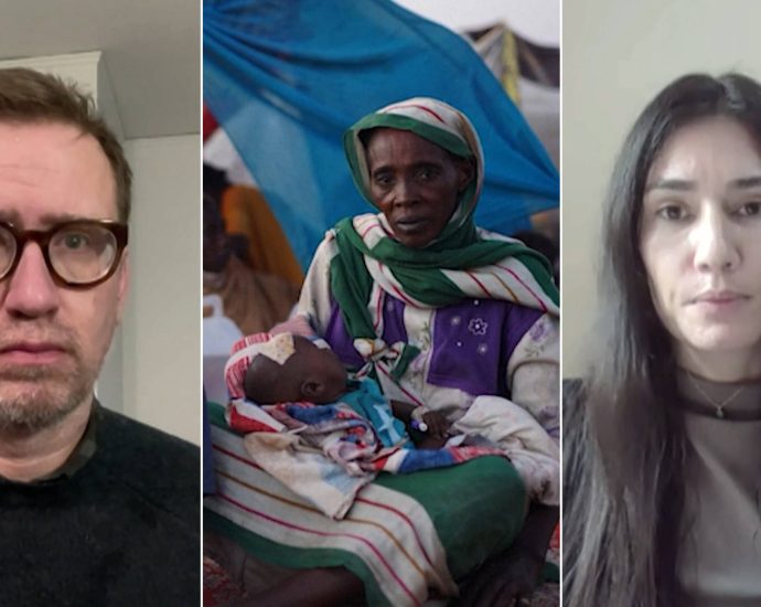 mass-killings-reported-in-sudan-as-rsf-seizes-el-fasher;-460-killed-at-hospital