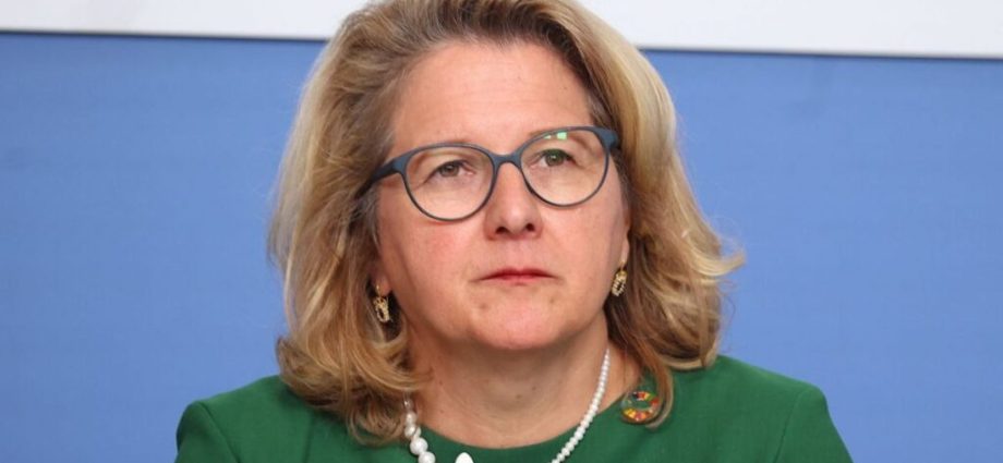 german-minister-arrives-in-kyiv-during-massive-russian-strike,-pledges-continued-economic-support